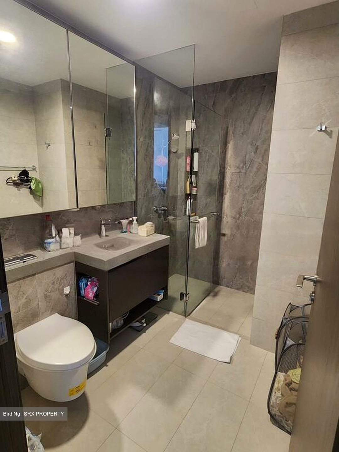Parc Clematis (D5), Apartment #474756581